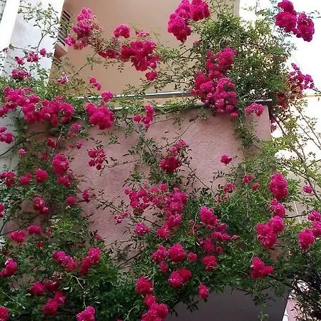 Apartment In Complex Tara Ravda